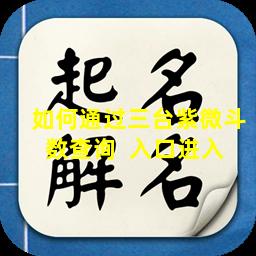 如何通过三台紫微斗数查询  入口进入 